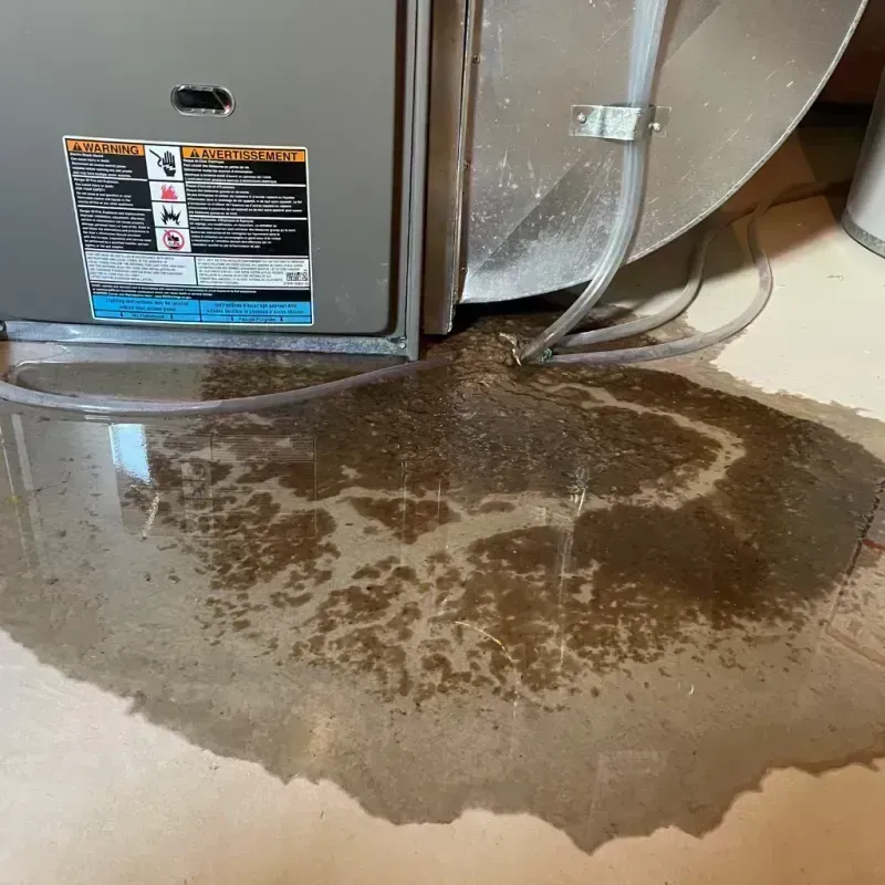 Appliance Leak Cleanup in Northglenn, CO